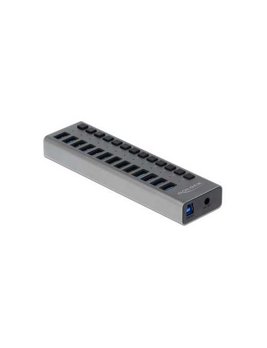 DELOCK USB hub 63738 με διακόπτες, 13x θυρών, 5Gbps, γκρι