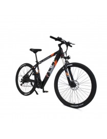LGP MOUNTAIN E-BIKE 36V 250W ‘REBEL’