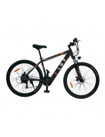 LGP MOUNTAIN E-BIKE 36V 250W ‘REBEL’