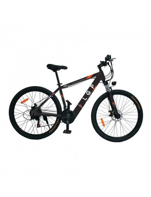LGP MOUNTAIN E-BIKE 36V 250W ‘REBEL’
