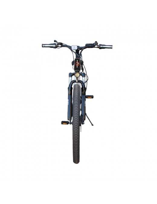 LGP MOUNTAIN E-BIKE 36V 250W ‘REBEL’