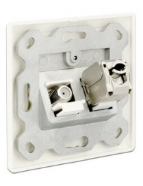 DELOCK Wall Outlet για Keystone 86202, 2 Port