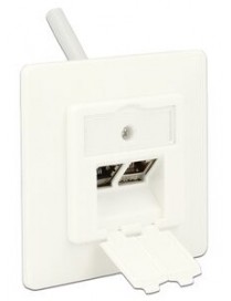 DELOCK Wall Outlet για Keystone 86219, 2 Port