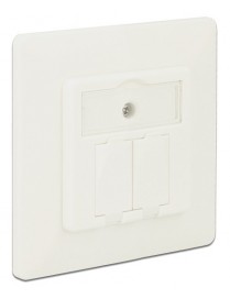 DELOCK Wall Outlet για Keystone 86219, 2 Port