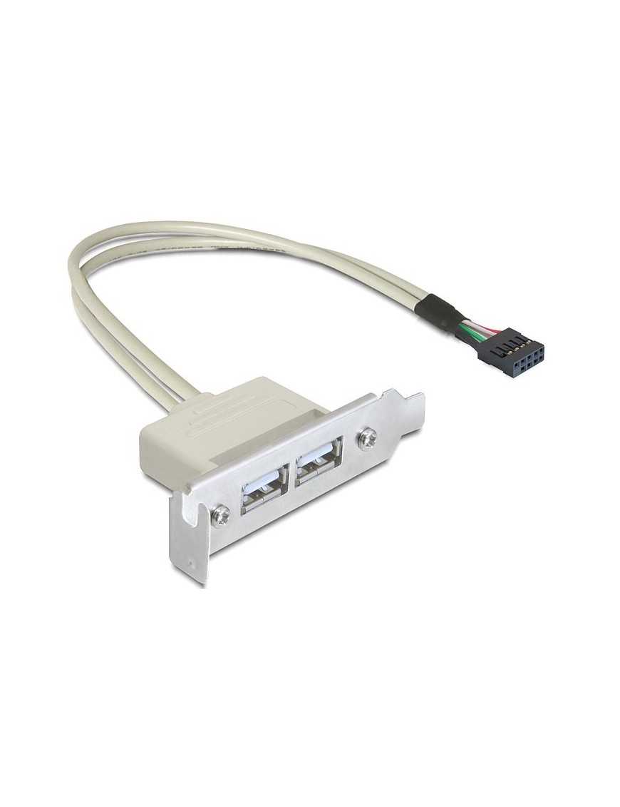 DELOCK κάρτα επέκτασης USB 9 pin σε 2x USB 2.0 83119, low profile